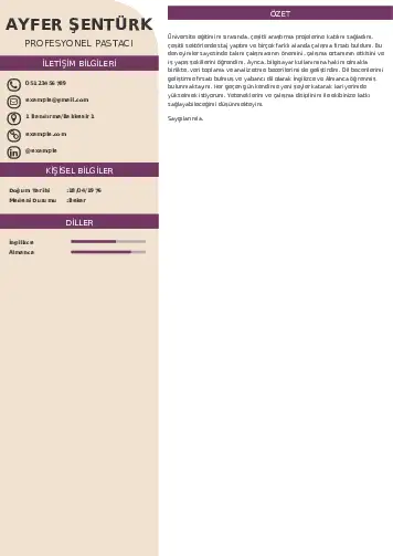 Pastacı Cv Örnekleri cv indir